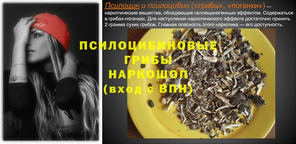 дурь Магас