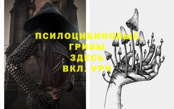 дурь Магас