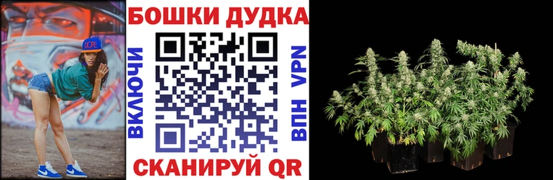 Купить где  Зубцов  МАРИХУАНА планчик 